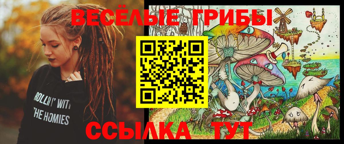 Псилоцибиновые грибы мухоморы Ковров