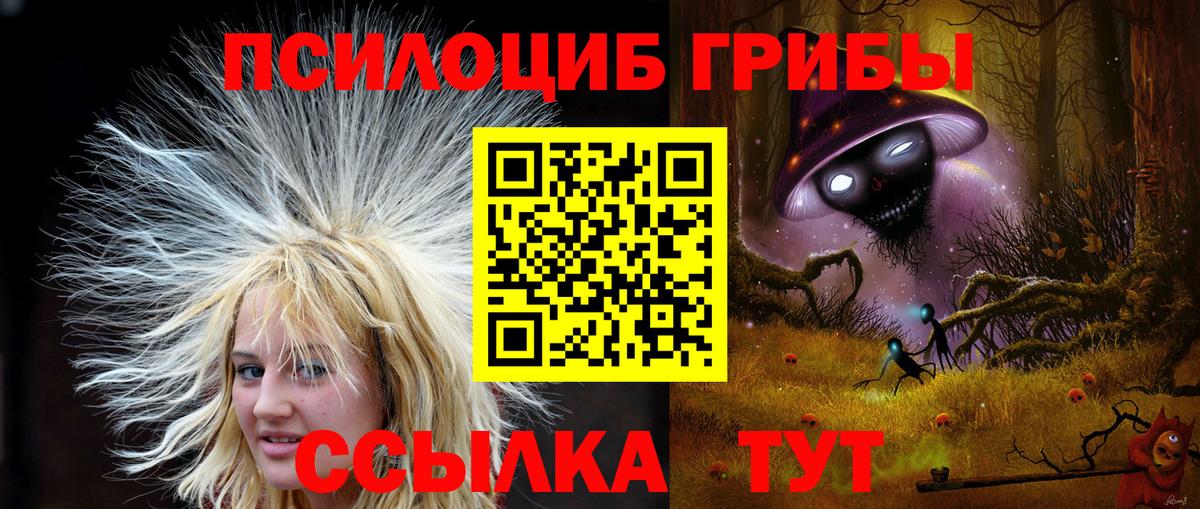 Галлюциногенные грибы MAGIC MUSHROOMS  Вход с VPN  где найти   Ковров 